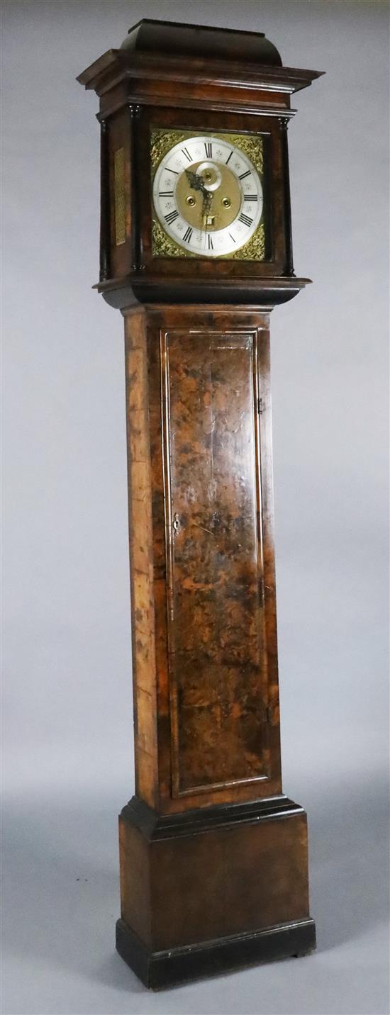 Sam Macham of London. A William and Mary mulberry cased eight-day longcase clock, 7ft. 2in. (plinth altered, parts replaced)